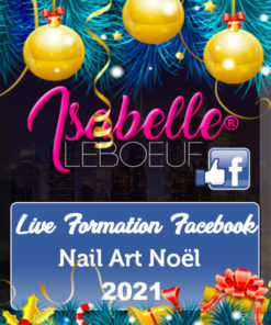 FORMATION NAIL ART NOEL 2021