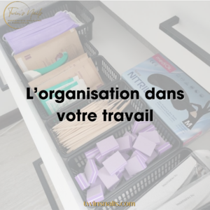 L'ORGANISATION DANS VOTRE TRAVAIL