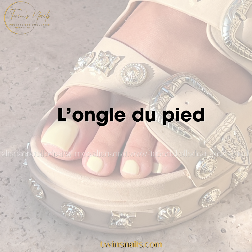 L'ONGLE DU PIED