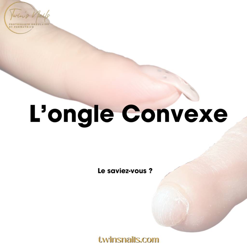 L'ONGLE CONVEXE