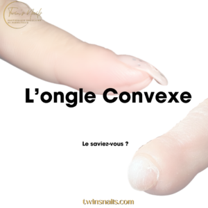 L'ONGLE CONVEXE