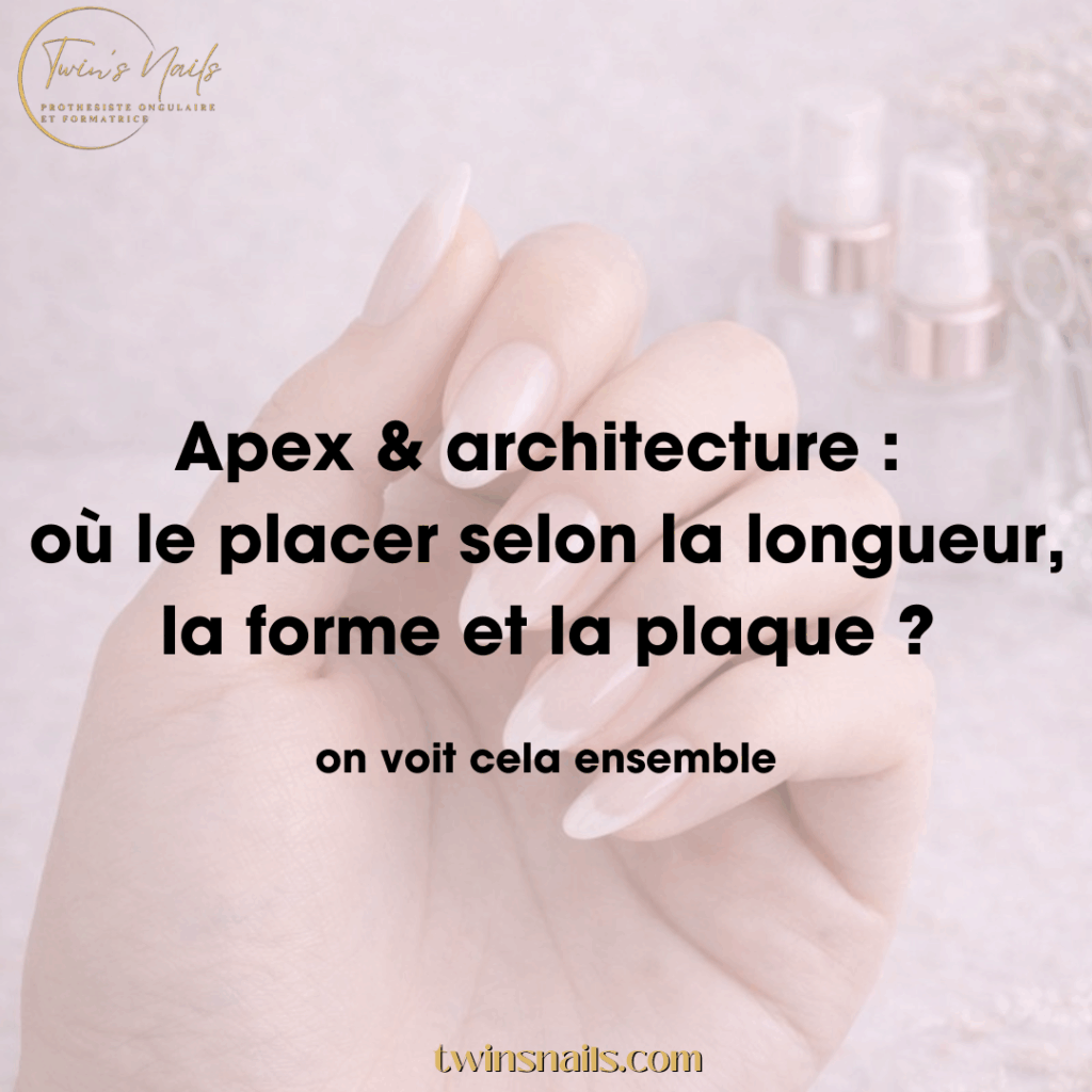 APEX & ARCHITECTURE / OÙ LE PLACER SELON LA LONGUEUR, LA FORME ET LA PLAQUE ?