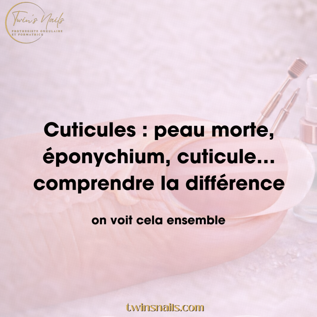 CUTICULES : PEAU MORTE, ÉPONYCHIUM, CUTICULE...COMPRENDRE LA DIFFÉRENCE